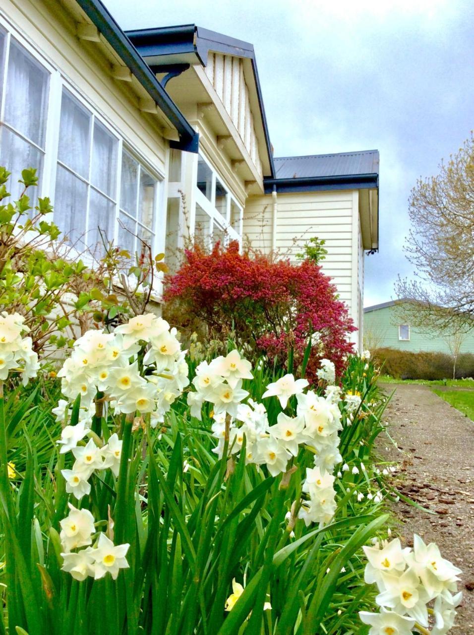 Acacia Bed And Breakfast Sheffield Exterior foto